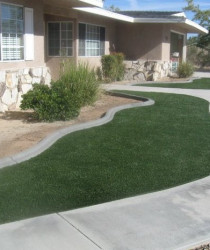Finished Turf Install Pic 2